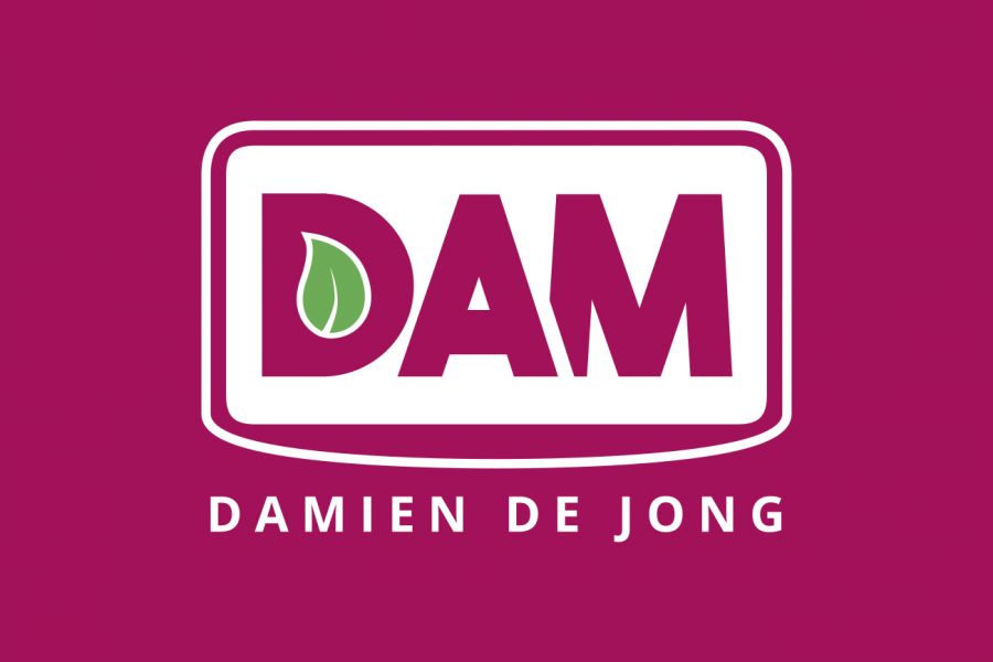 Logo Damien De Jong